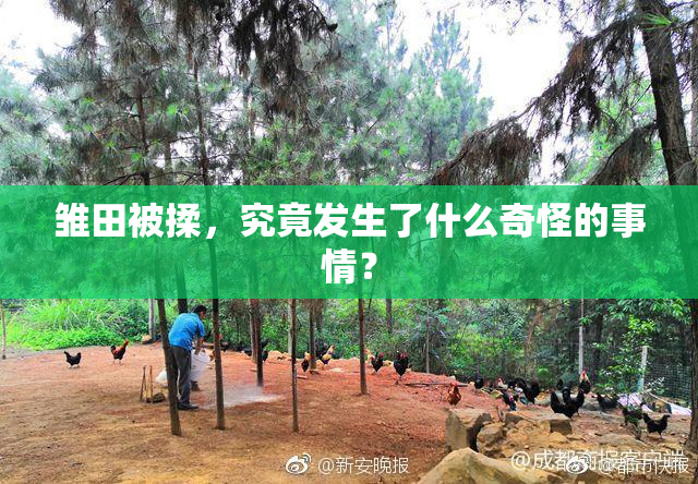 雏田被揉，究竟发生了什么奇怪的事情？