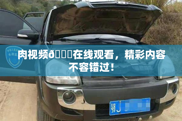 肉视频🔞在线观看，精彩内容不容错过！
