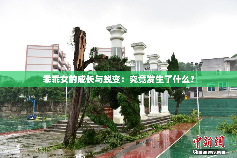 乖乖女的成长与蜕变：究竟发生了什么？