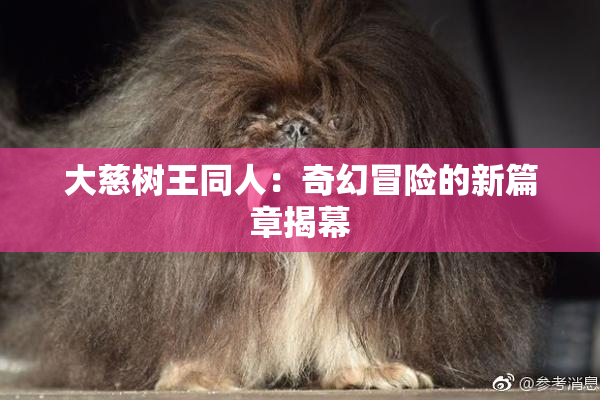 大慈树王同人：奇幻冒险的新篇章揭幕