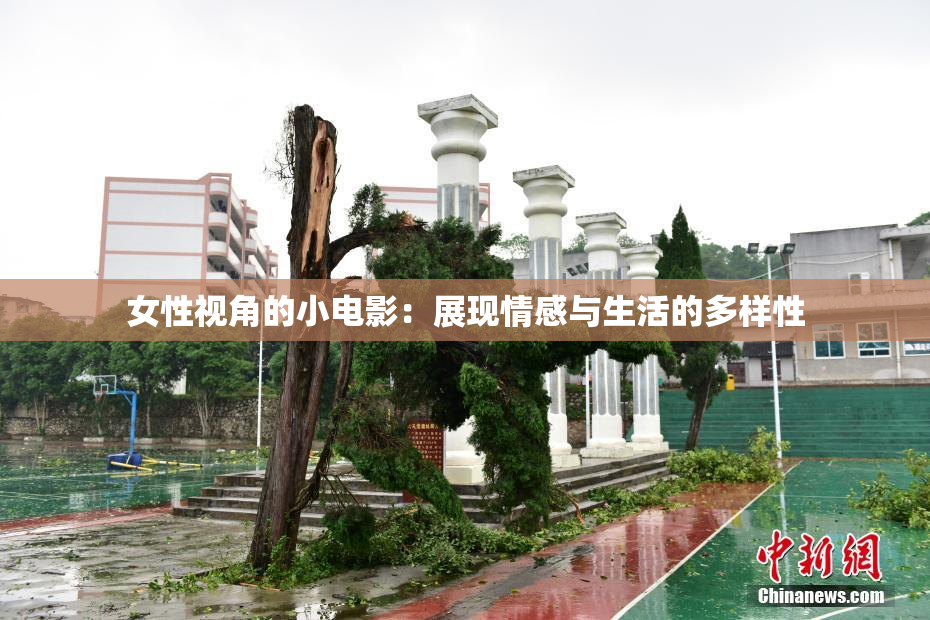 女性视角的小电影：展现情感与生活的多样性
