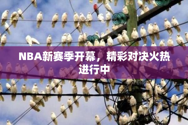 NBA新赛季开幕，精彩对决火热进行中