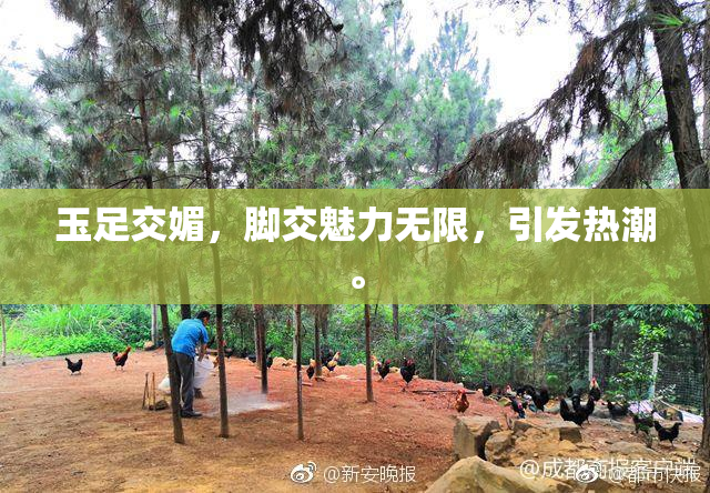 玉足交媚，脚交魅力无限，引发热潮。