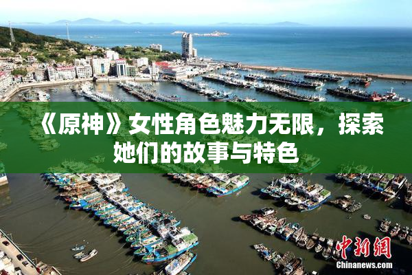 《原神》女性角色魅力无限，探索她们的故事与特色