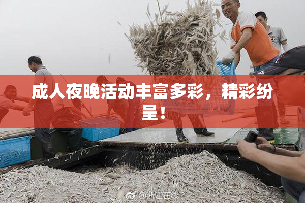 成人夜晚活动丰富多彩，精彩纷呈！
