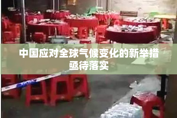 中国应对全球气候变化的新举措亟待落实