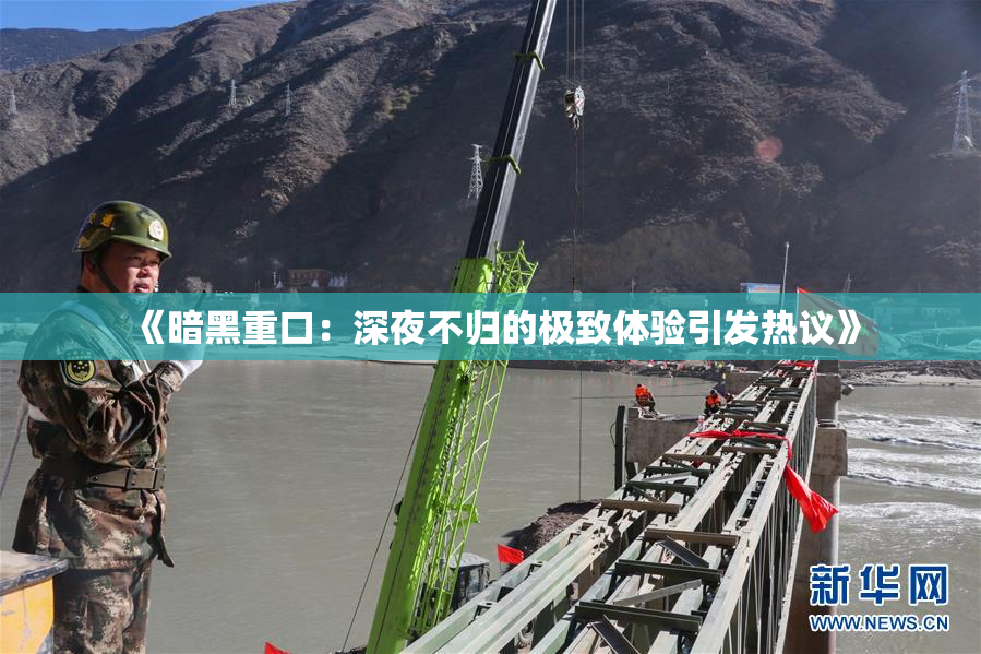 《暗黑重口：深夜不归的极致体验引发热议》