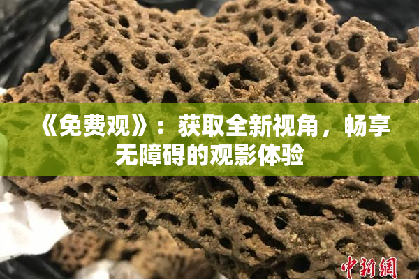 《免费观》：获取全新视角，畅享无障碍的观影体验