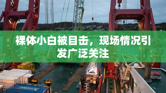 裸体小白被目击，现场情况引发广泛关注