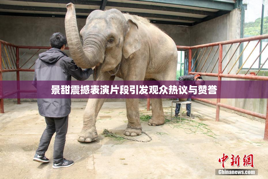 景甜震撼表演片段引发观众热议与赞誉