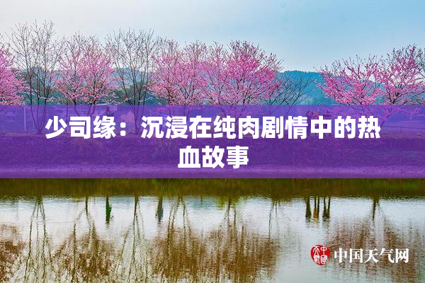 少司缘：沉浸在纯肉剧情中的热血故事