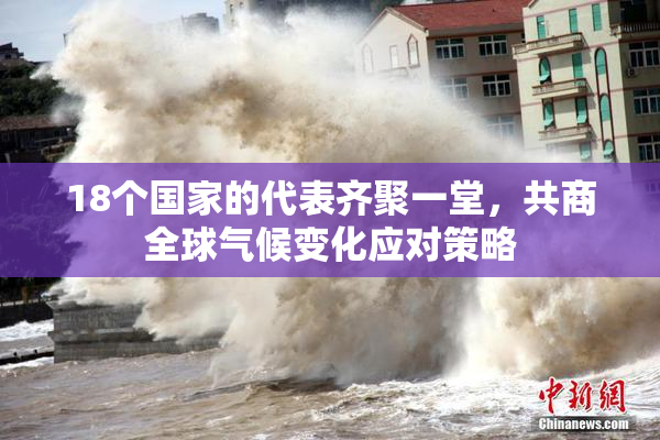18个国家的代表齐聚一堂，共商全球气候变化应对策略