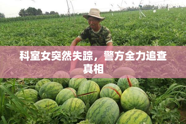 科室女突然失踪，警方全力追查真相