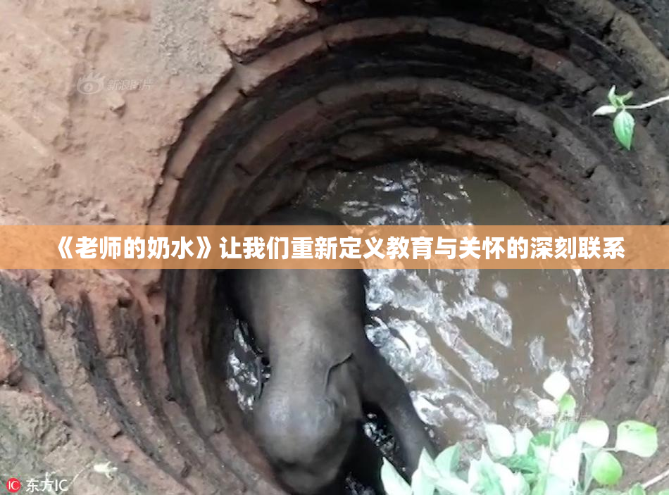 《老师的奶水》让我们重新定义教育与关怀的深刻联系