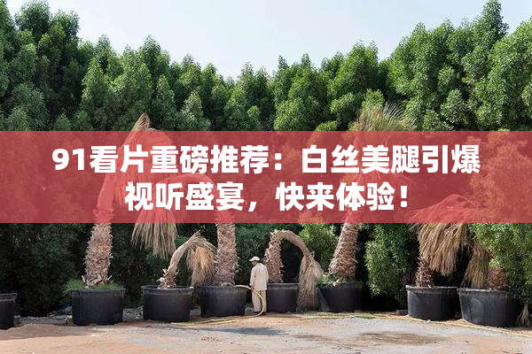 91看片重磅推荐：白丝美腿引爆视听盛宴，快来体验！