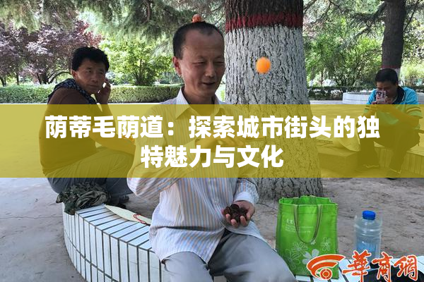 荫蒂毛荫道：探索城市街头的独特魅力与文化
