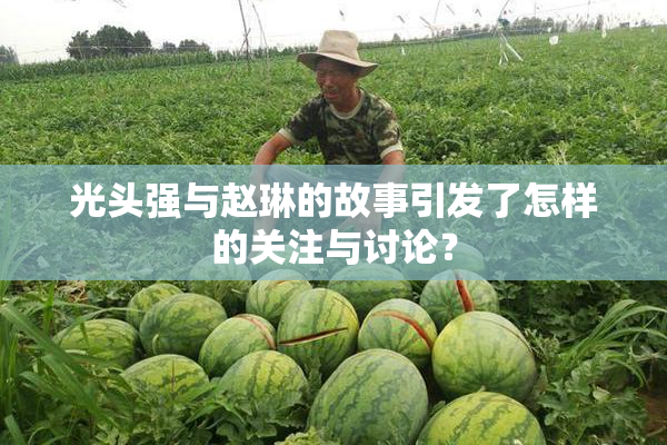 光头强与赵琳的故事引发了怎样的关注与讨论？