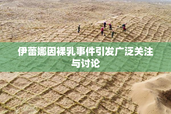 伊蕾娜因裸乳事件引发广泛关注与讨论