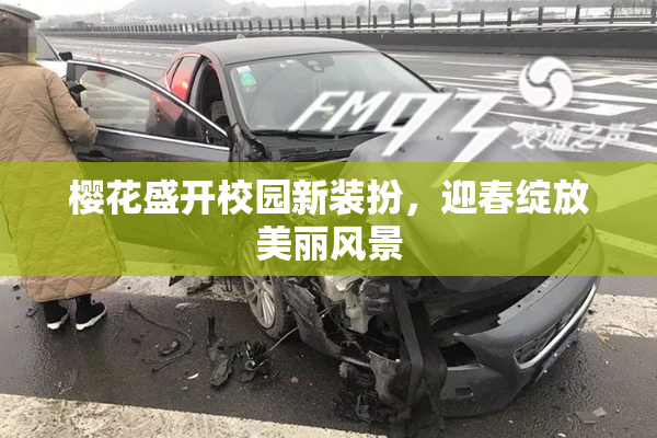 樱花盛开校园新装扮，迎春绽放美丽风景