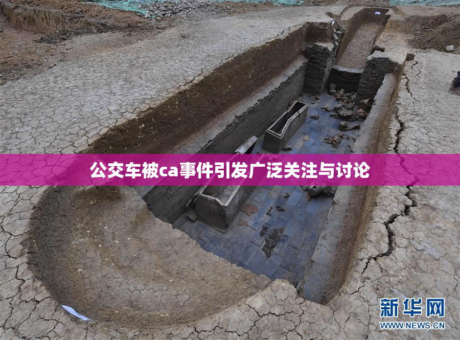 公交车被ca事件引发广泛关注与讨论