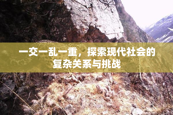 一交一乱一重，探索现代社会的复杂关系与挑战
