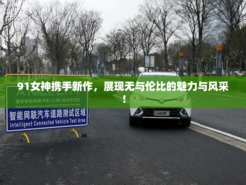 91女神携手新作，展现无与伦比的魅力与风采！