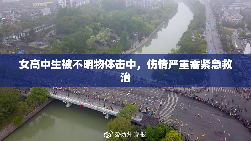 女高中生被不明物体击中，伤情严重需紧急救治