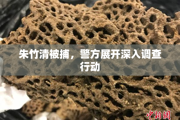 朱竹清被捕，警方展开深入调查行动