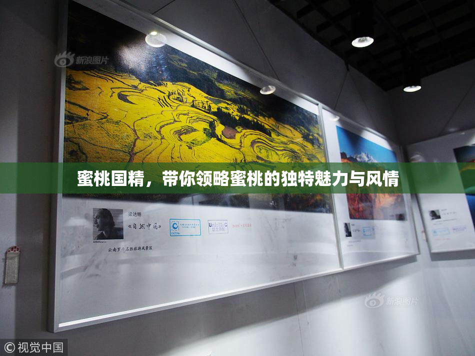 蜜桃国精，带你领略蜜桃的独特魅力与风情