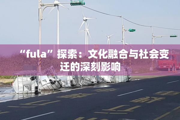 “fula”探索：文化融合与社会变迁的深刻影响
