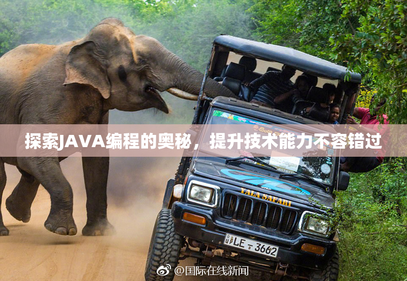 探索JAVA编程的奥秘，提升技术能力不容错过