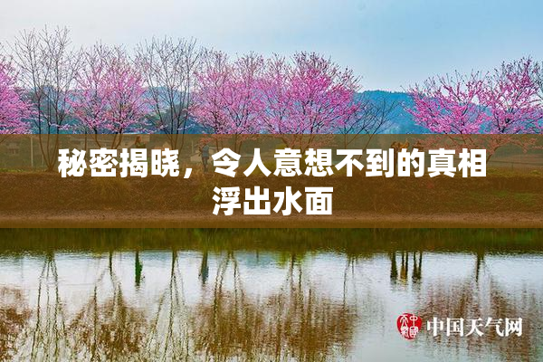 秘密揭晓，令人意想不到的真相浮出水面