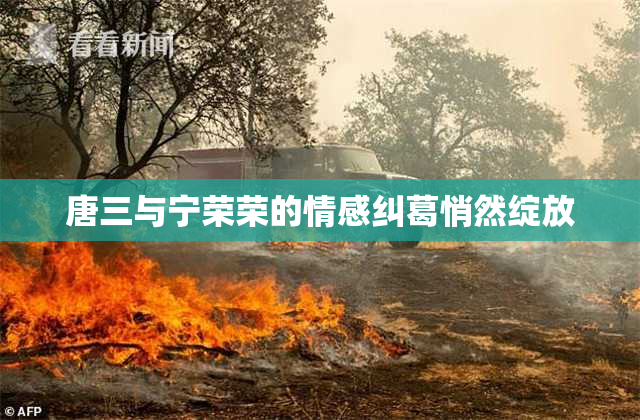 唐三与宁荣荣的情感纠葛悄然绽放