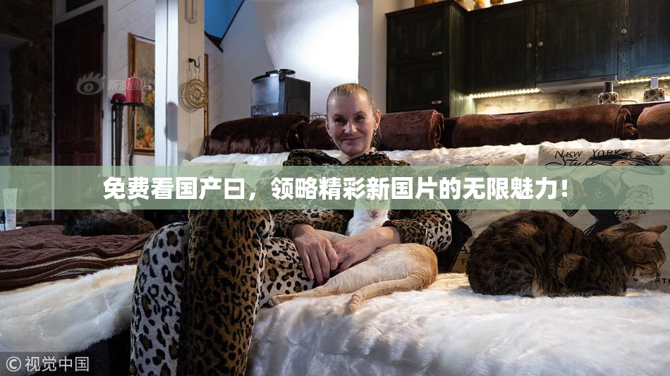 免费看国产曰，领略精彩新国片的无限魅力！