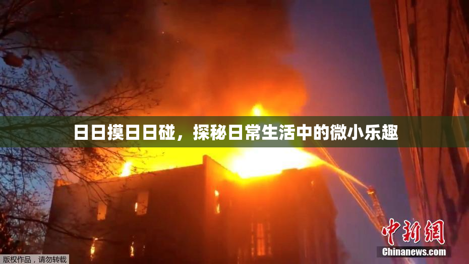 日日摸日日碰，探秘日常生活中的微小乐趣
