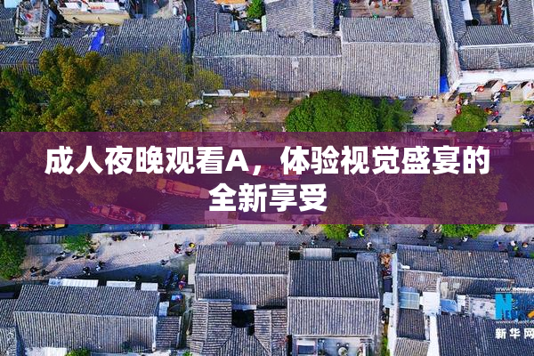 成人夜晚观看A，体验视觉盛宴的全新享受