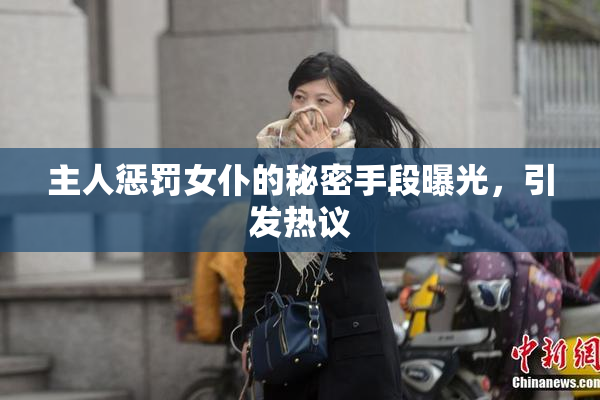 主人惩罚女仆的秘密手段曝光，引发热议