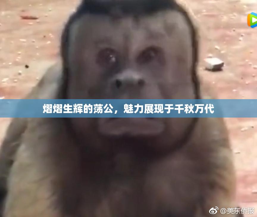 熠熠生辉的荡公，魅力展现于千秋万代