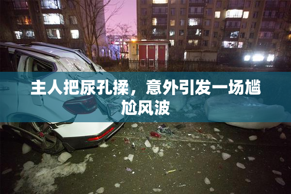 主人把尿孔揉，意外引发一场尴尬风波
