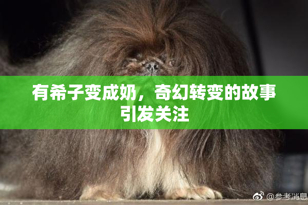 有希子变成奶，奇幻转变的故事引发关注