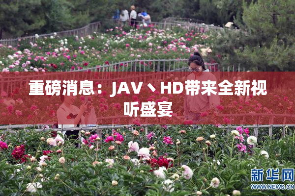 重磅消息：JAV丶HD带来全新视听盛宴