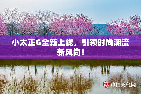 小太正G全新上线，引领时尚潮流新风尚！