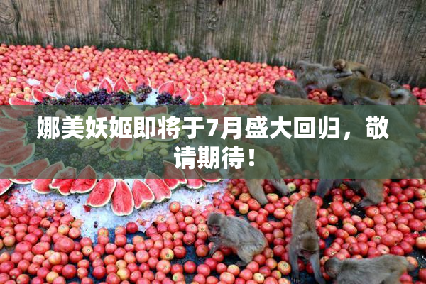 娜美妖姬即将于7月盛大回归，敬请期待！