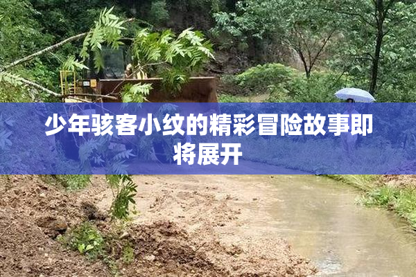 少年骇客小纹的精彩冒险故事即将展开