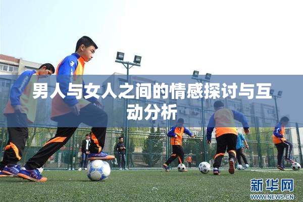 男人与女人之间的情感探讨与互动分析