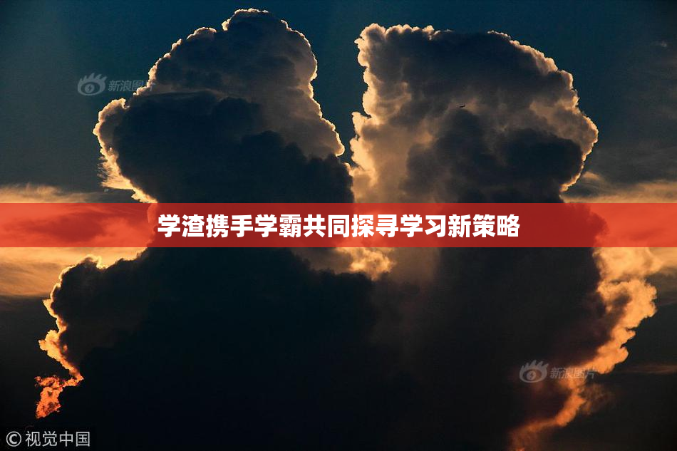 学渣携手学霸共同探寻学习新策略