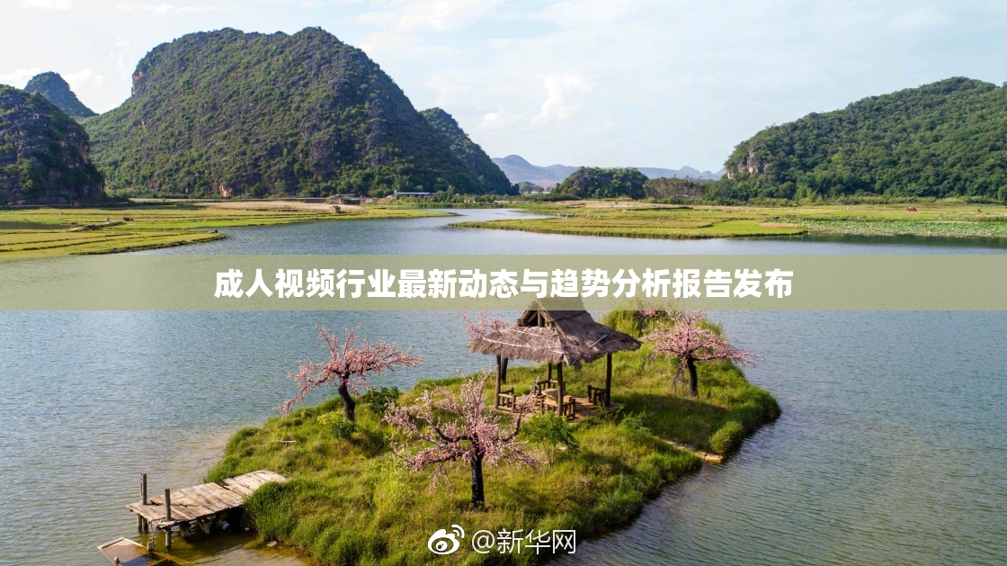 成人视频行业最新动态与趋势分析报告发布