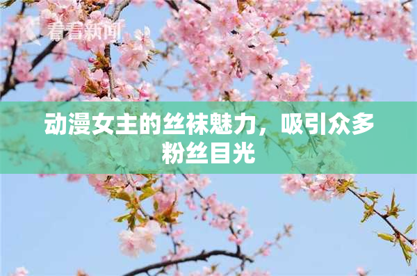 动漫女主的丝袜魅力，吸引众多粉丝目光