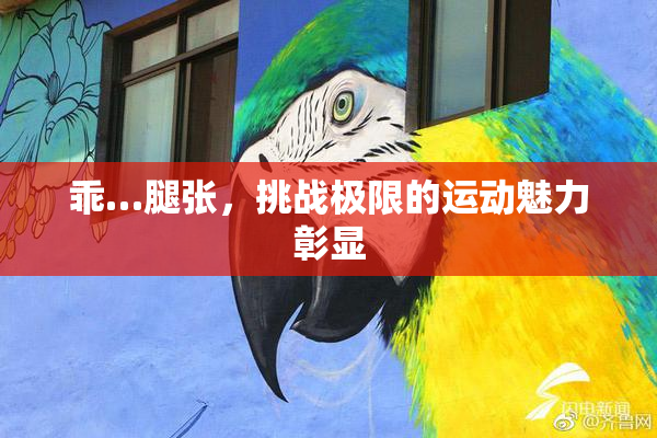 乖…腿张，挑战极限的运动魅力彰显