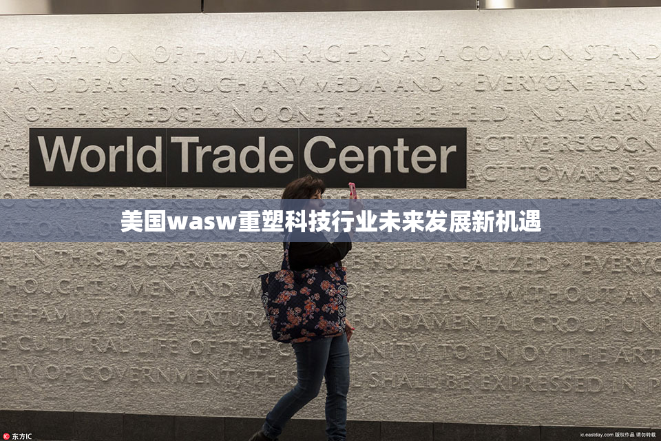 美国wasw重塑科技行业未来发展新机遇